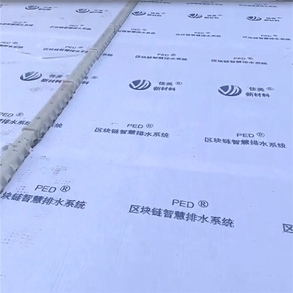 张家口-碧桂园·森林海1.jpg