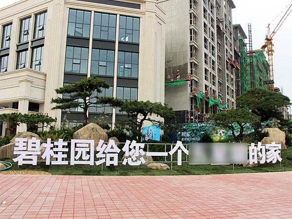 张家口-碧桂园·森林海